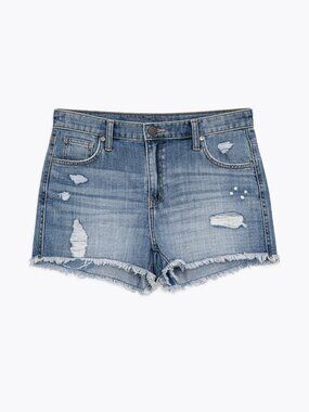 NWT Aerie Denim Jean Shorts Jorts Size Large